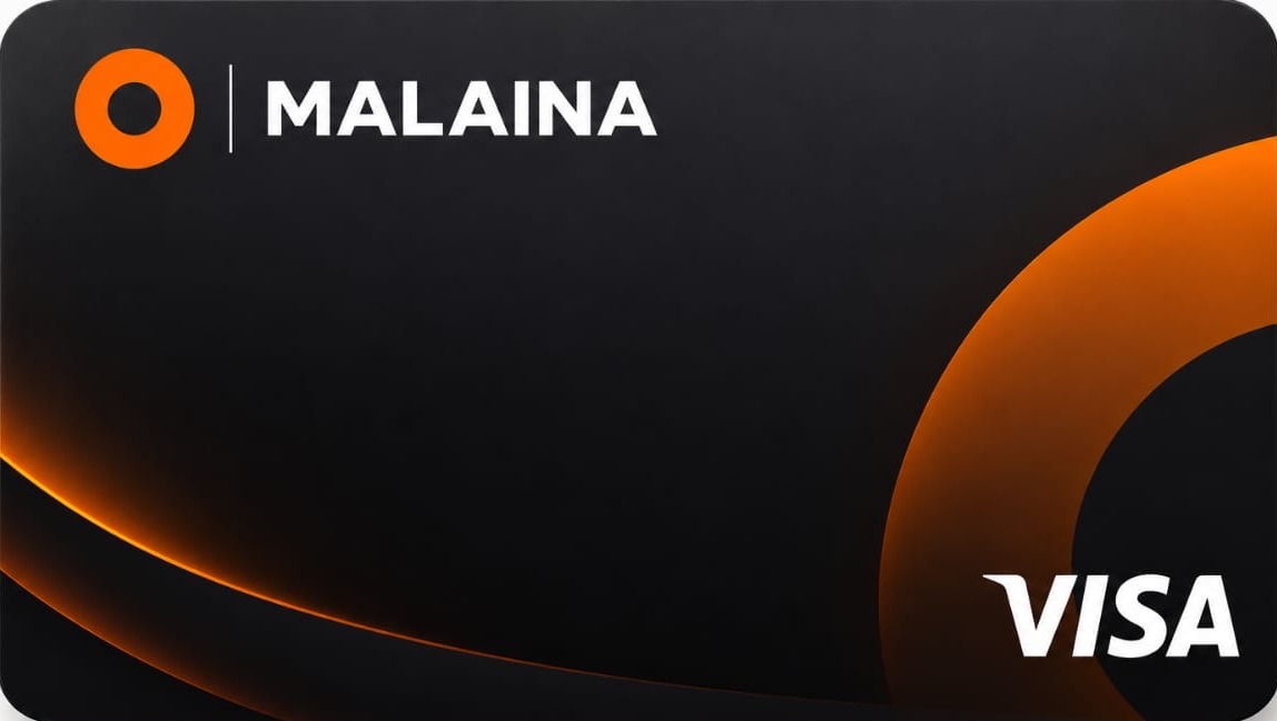 Carte Visa omalaina